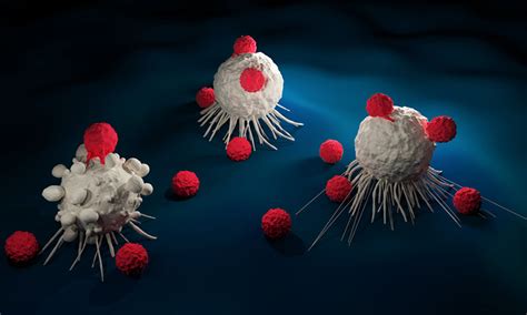 Nice Recommends New Car T Cell Therapy To Treat Mantle Cell Lymphoma