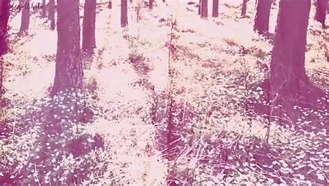 Hipno gay Vídeos porno gratis xHamster