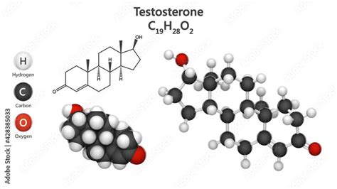 Molecular Structure Of Testosterone Steroid Hormone From The Androgen