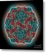 Coxsackievirus B3 Capsid Photograph By Laguna Design Science Photo