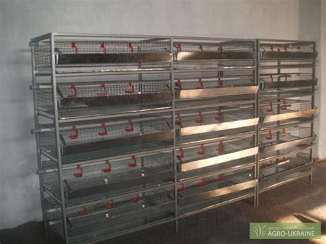 Продам клетки для перепелов, купити клетки для перепелов — Agro-Ukraine