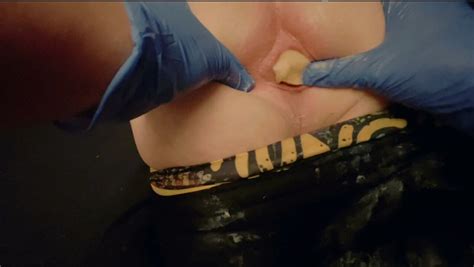 Free Banana In Ass Porn Videos Xhamster