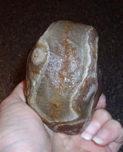 Large Agate Found Near My House Collectors Weekly