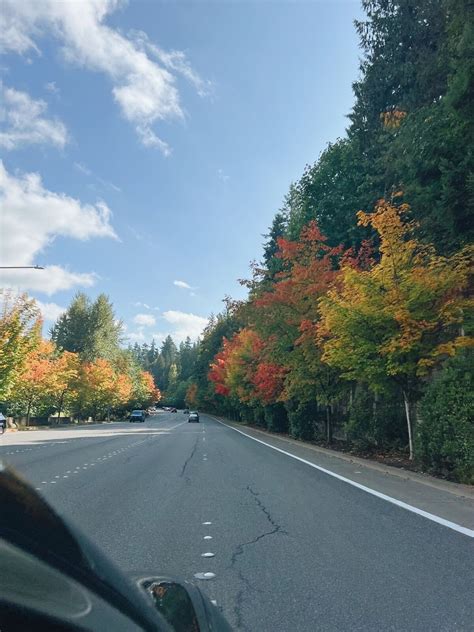 Seattle Fall Foliage Drive Art Print Download, Beautiful Autumn Day