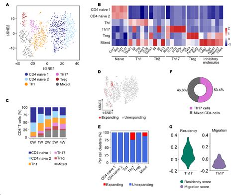 Figure 3 From Single Cell TCR Sequencing Reveals The Dynamics Of T Cell