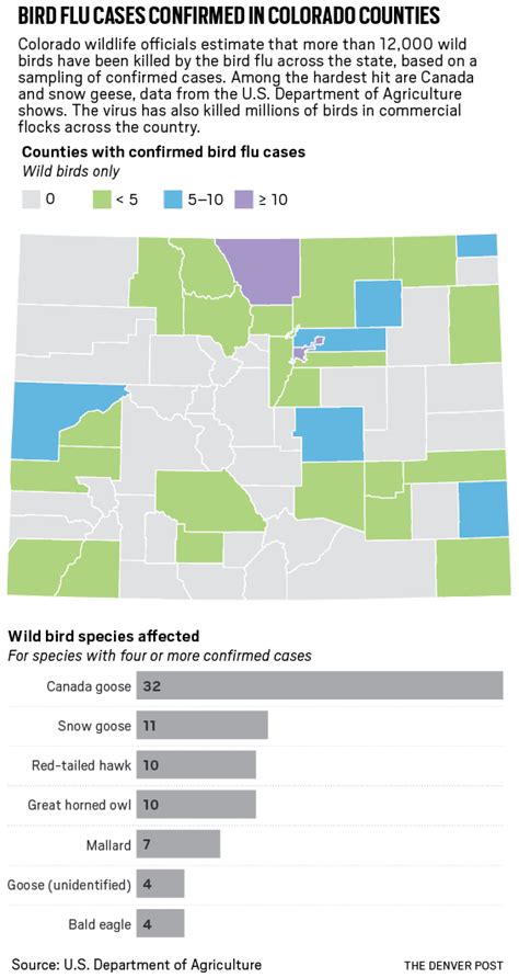 Flu Outbreak Map 2022