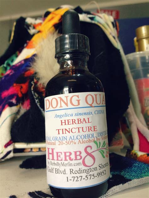 Dong Quai Tincture Etsy