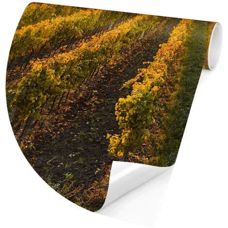 Runde Tapete Selbstklebend Herbstliche Weinberge Bei Wien Cm