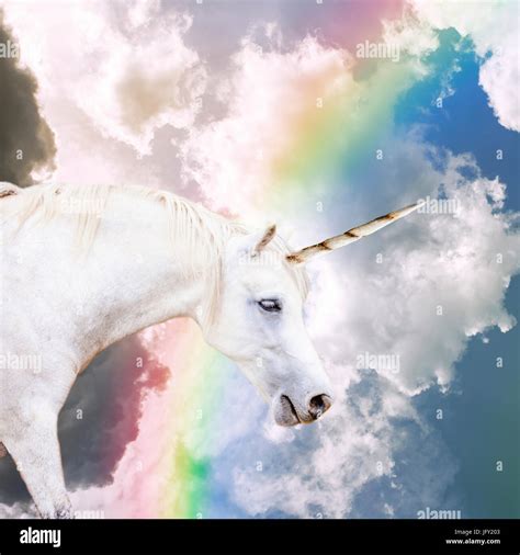 Einhorn sind echt -Fotos und -Bildmaterial in hoher Auflösung – Alamy