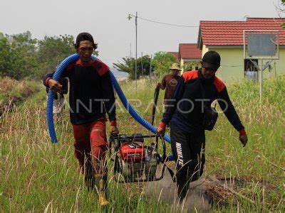 Karhutla Di Palangka Raya Mendekati Permukiman Warga Antara Foto