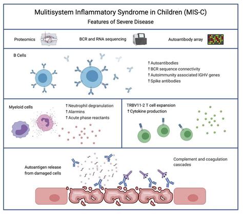 Jci The Autoimmune Signature Of Hyperinflammatory Multisystem