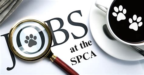 Spca Jobs Dog Cat Pet Adoption Animal Shelter In Buffalo
