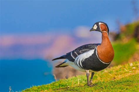 20 Fotos Increíbles De La Naturaleza En Rusia Russia Beyond Es
