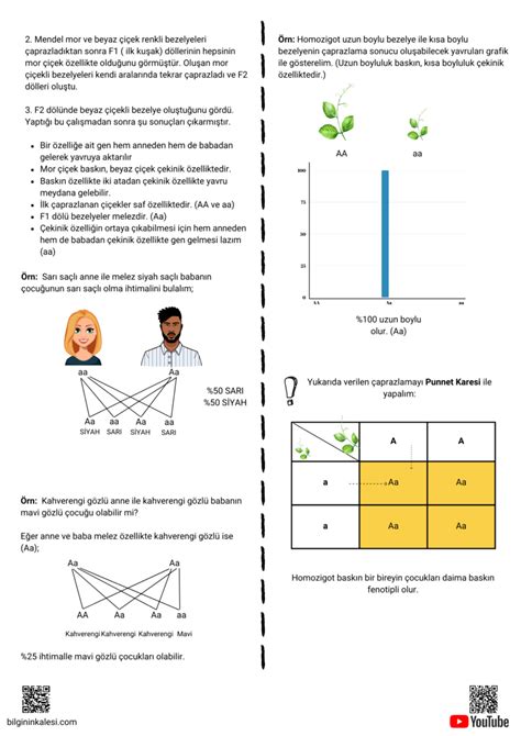 Dna Ve Genetİk Kod Lgs Ders Notu Pdf Bilginin Kalesi