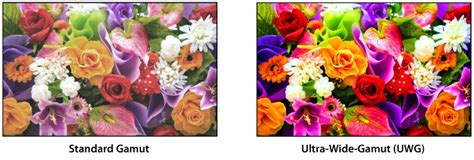 wide color gamut nds surgical imaging