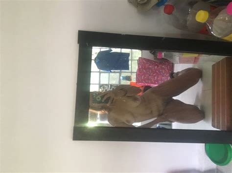 Rich Content Just For You 2 Nude Pics XHamster