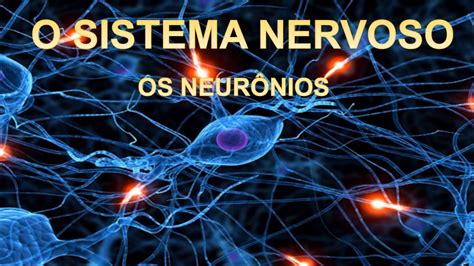 Sistema Nervoso NeurÔnios Parte 1 Youtube