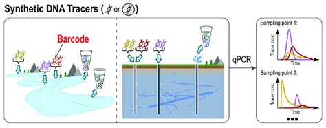 Schematic Illustration Of Synthetic DNA Based Tracer Methods The