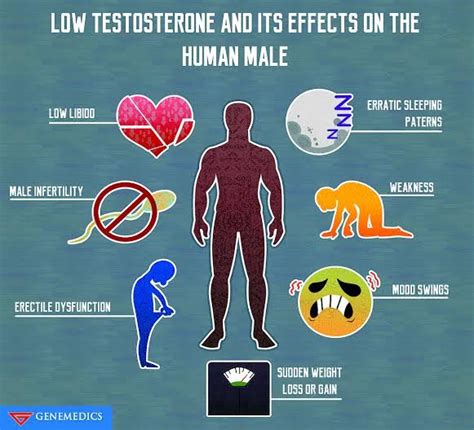 Maximize Your Male Hormones, 54% OFF | www.vitel.lutsk.ua