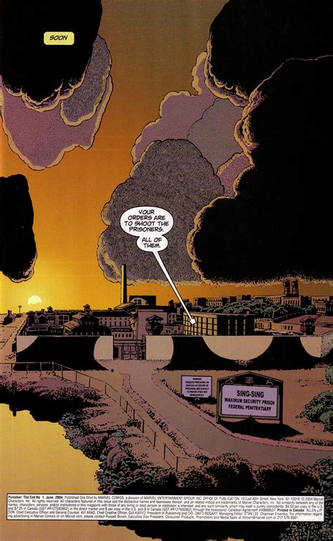 Read online Punisher: The End comic - Issue # Full