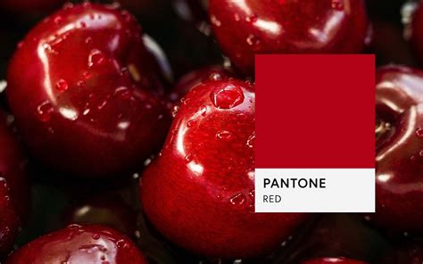 power  colour red soley creative design studio branding