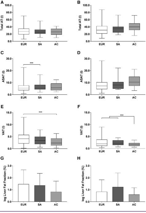 Sex And Ethnicity Specific Distribution Of Adipose Tissue AT And