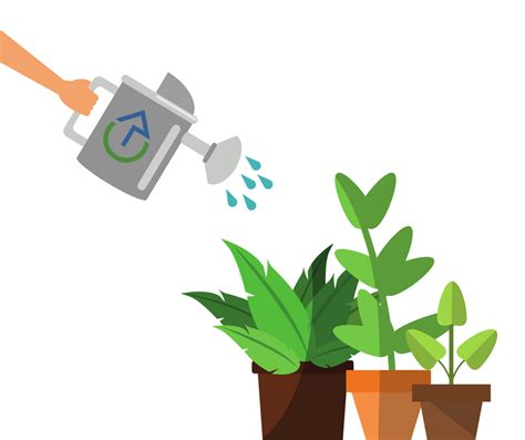 Watering Plantss Clip Art Library