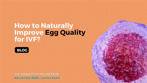 How To Naturally Improve Egg Quality For Ivf