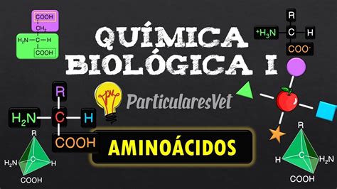 AMINOÁCIDOS IONIZACIÓN PUNTO ISOELÉCTRICO Química general YouTube