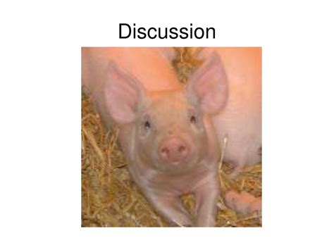 Ppt Swine Reproduction And Production Management Powerpoint Presentation Id9003133