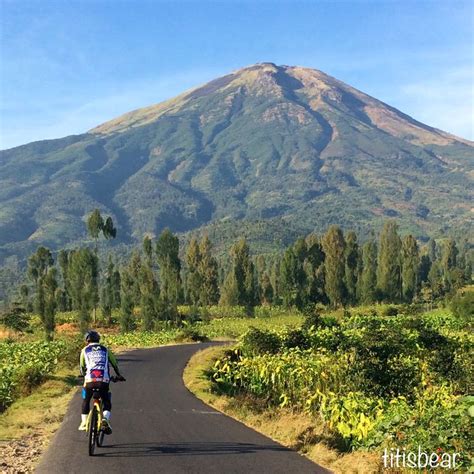 Gunung Sindoro Desa Canggal Candiroto Temanggung Jawa Tengah