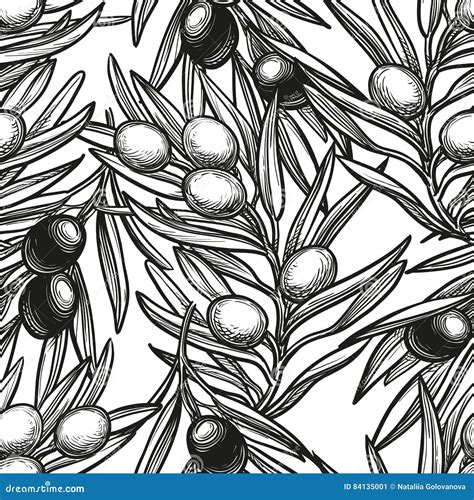 Seamless Pattern With Olive Branch Stock Vector Illustration Of