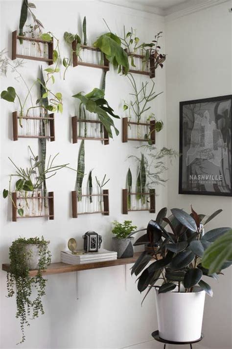 23 Creative Modern Indoor Plant Wall Decor Ideas