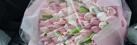 Зефир Пряники Новомосковск 2024 | ВКонтакте