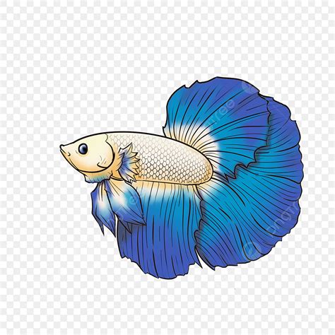 Betta Fish Png Transparent Betta Fish White Blue Vector Illustration