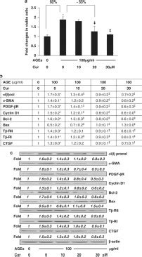 Curcumin Eliminates The Inhibitory Effect Of Advanced Glycation End