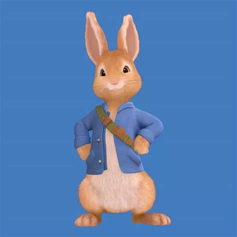 Meet Peter Rabbit And Friends Peter Rabbit™ Explore And Play