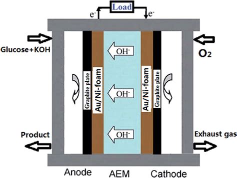 Schematic Representation Of The Aem Glucose Fuel Cell Download Scientific Diagram