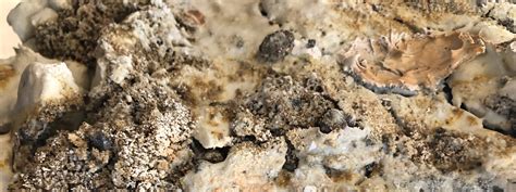 Ceramic Review : Ceramic Review