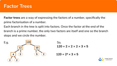 Factor Trees - GCSE Maths - Steps, Examples & Worksheet