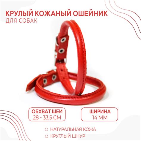 Круглый кожаный ошейник (обхват шеи 28-33,5 см.)для маленьких пород ...