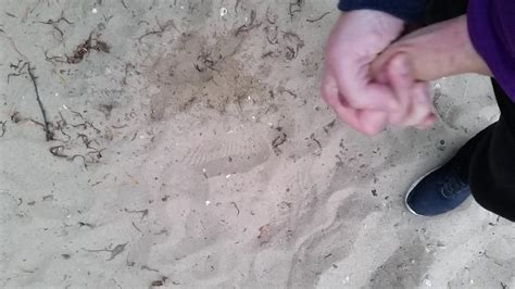 Am Rhein Abgewixxt Free Gay HD Porn Video XHamster