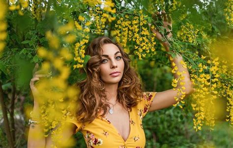 Wallpaper Flowers Blonde Yellow Dress A Diakov George For Mobile And Desktop Section