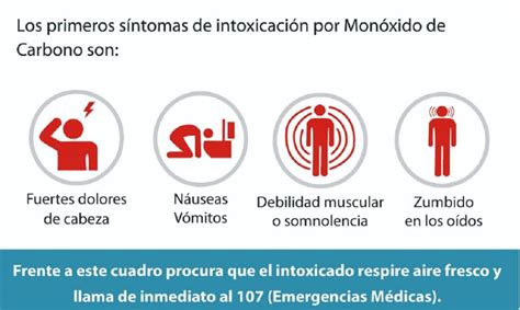 ¿cuáles Son Las Medidas Necesarias Para Prevenir Intoxicaciones Por