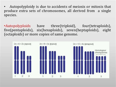 Autopolyploidy