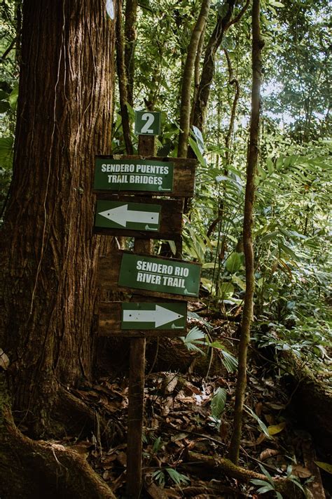 Top Things To Do In Manuel Antonio, Costa Rica • Dreams Become Wings