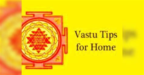 Vastu Tips For Money Keep These Vastu Things In House Lotus Flowers And You Will Never Face