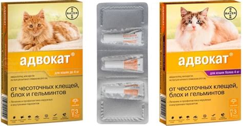 Как правильно использовать капли Адвокат для собак? Адвокат для ...