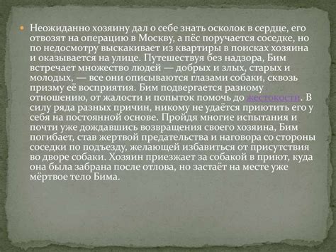 Г. Н. Троепольский. Повесть "Белый Бим Чёрное ухо" - презентация онлайн