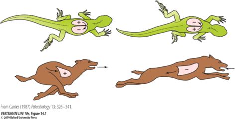 Exam 3 Flashcards | Quizlet 